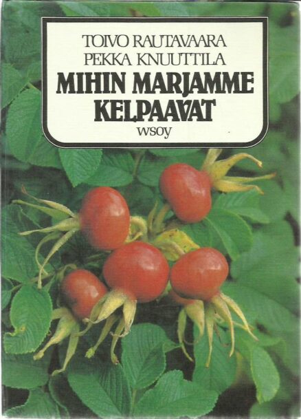 Mihin marjamme kelpaavat