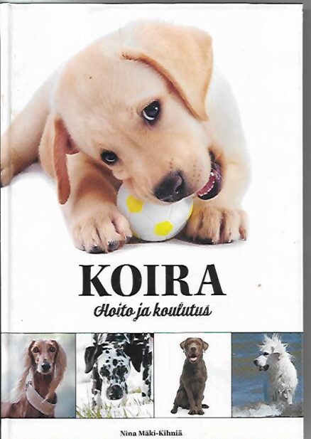 Koira - Hoito ja koulutus