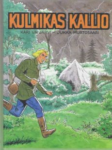 Kulmikas kallio