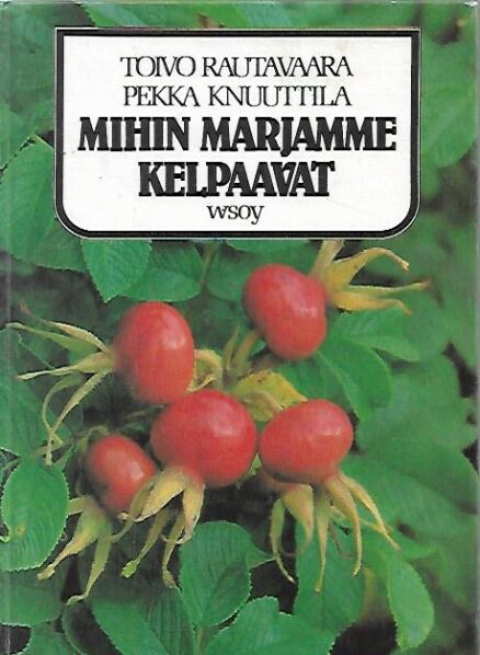 Mihin marjamme kelpaavat