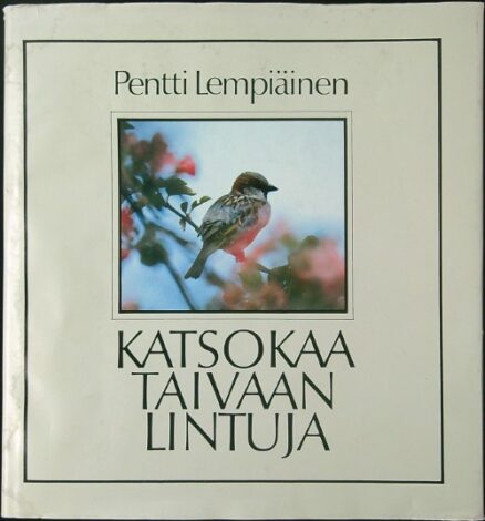 Katsokaa taivaan lintuja