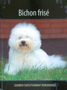 Suomen suosituimmat koirarodut - Bichon frise