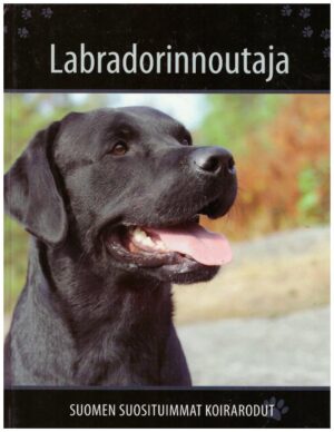 Suomen suosituimmat koirarodut - Labradorinnoutaja
