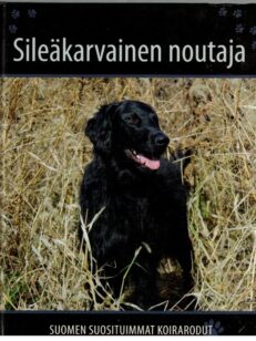 Suomen suosituimmat koirarodut - Sileäkarvainen noutaja