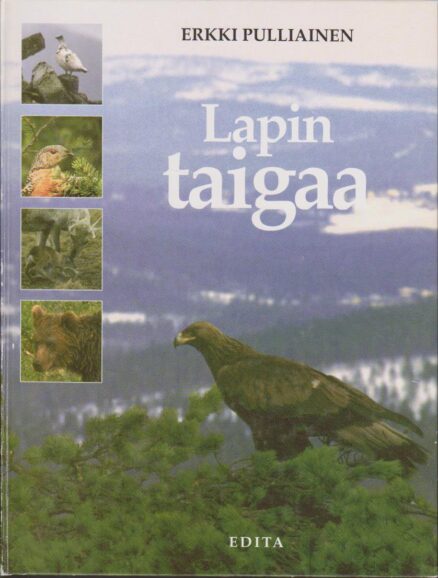 Lapin taigaa