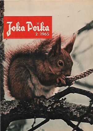 Joka Poika 2/1965