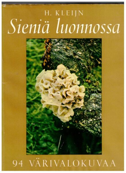 Sieniä luonnossa