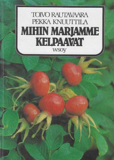 Mihin marjamme kelpaavat