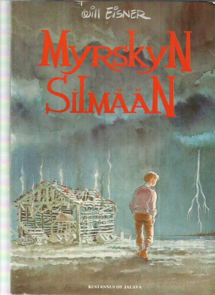 Myrskyn silmään