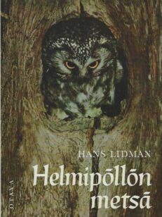 Helmipöllön metsä