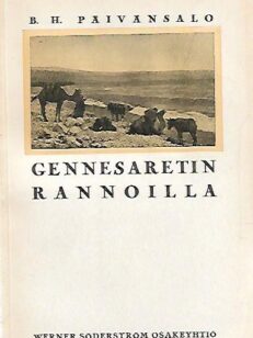 Gennesaretin rannoilla