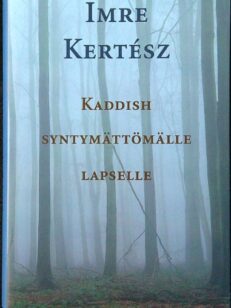 Kaddish syntymättömälle lapselle