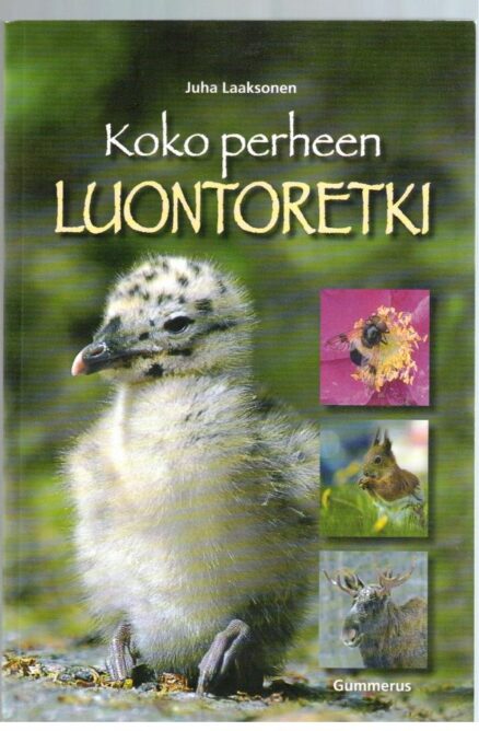 Koko perheen luontoretki