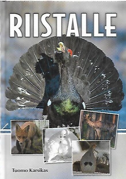 Riistalle