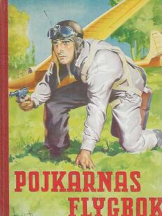 Pojkarnas flygbok - Division Harpunen