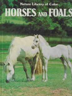 Horses and Foals