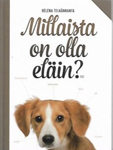 Millaista on olla eläin?