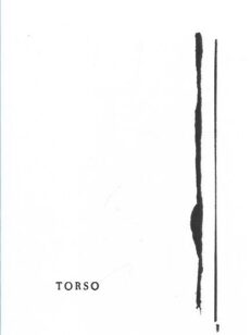 Torso