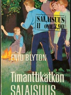 Timanttikätkön salaisuus