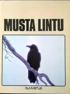 Musta lintu