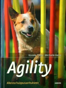 Agility - Alkeista huippusuoritukseen