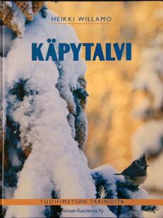 Käpytalvi