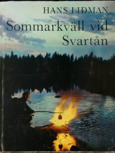 Sommarkväll Vid Svartån