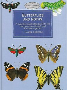 Butterflies and Moths