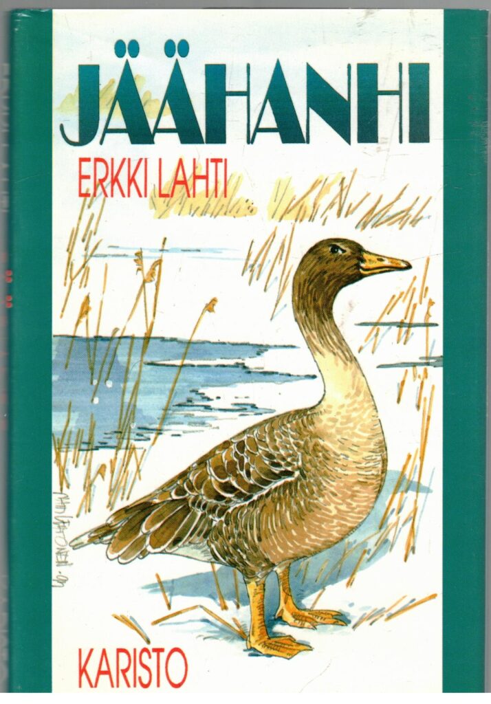 Jäähanhi