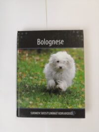 Bolognese - Suomen suosituimmat koirarodut