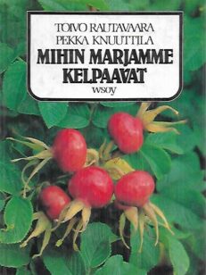 Mihin marjamme kelpaavat