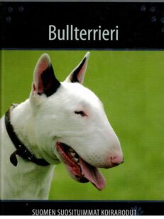 Suomen suosituimmat koirarodut - Bullterrieri