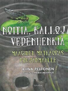 Noitia, kalloja, vedenhenkiä - Maaginen matkaopas Pohjanmaalle