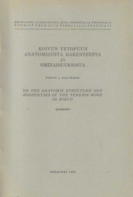 Koivun vetopuun anatomisesta rakenteesta ja ominaisuuksesta