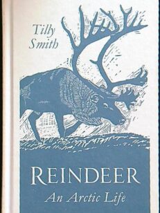 Reindeer - An arctic life