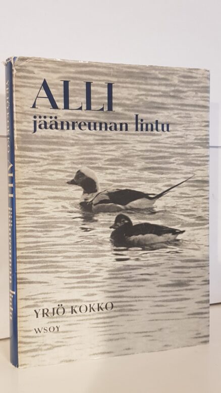 Alli jäänreunan lintu