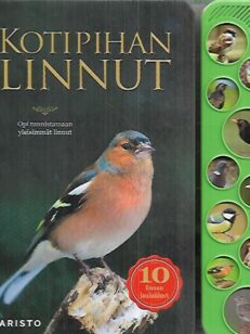 Kotipihan linnut - Opi tunnistamaan yleisimmät linnut