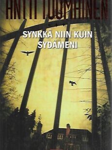 Synkkä niin kuin sydämeni