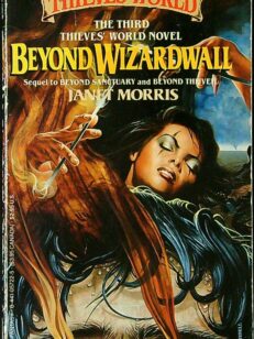 Beyond Wizardwall - Thieves World 3