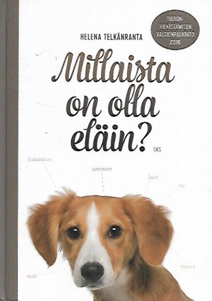 Millaista on olla eläin?