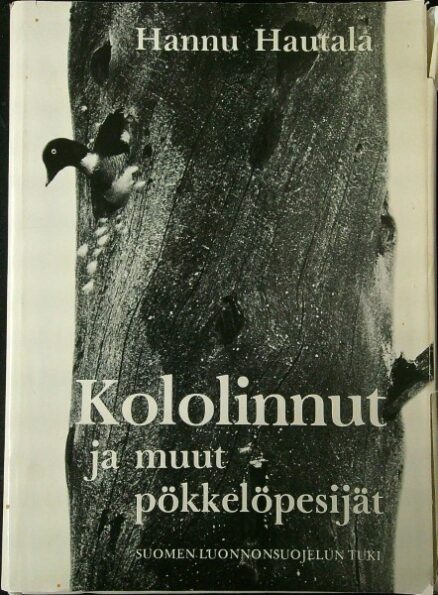 Kololinnut ja muut pökkelöpesijät