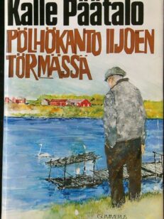 Pölhökanto Iijoen törmässä