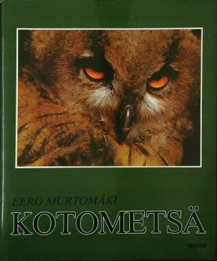 Kotometsä