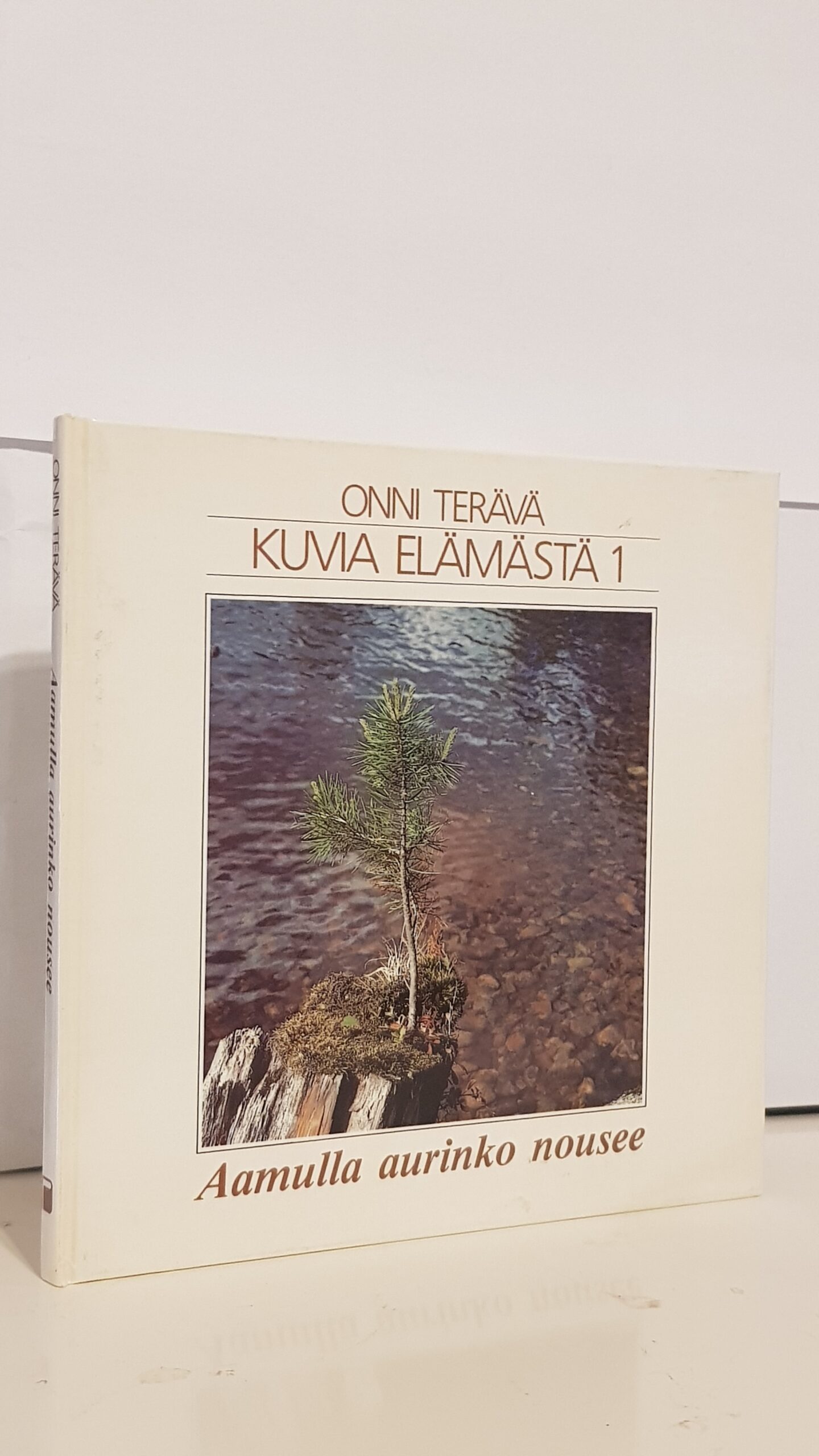 Kuvia elämästä 1 Aamulla aurinko nousee