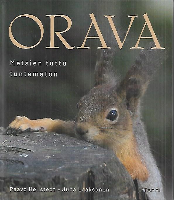 Orava - Metsien tuttu tuntematon