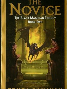 The Novice: The Black Magician Trilogy Book 2