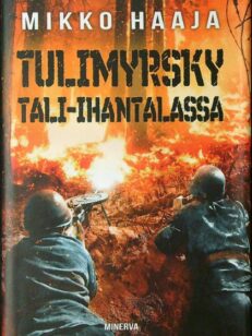 Tulimyrsky Tali-Ihantalassa