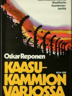 Kaasukammion varjossa