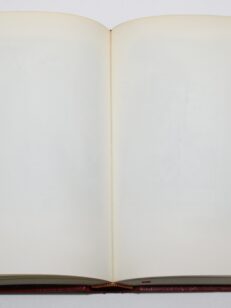 Markkinaponi (Otavan nuortenkirjasto)